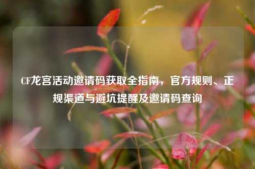CF龙宫活动邀请码获取全指南,官方规则、正规渠道与避坑提醒及邀请码查询
