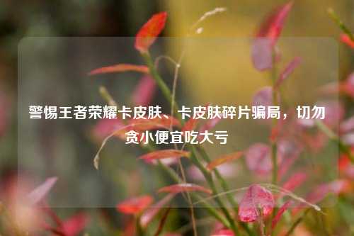 警惕王者荣耀卡皮肤、卡皮肤碎片骗局,切勿贪小便宜吃大亏