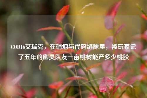 COD16艾瑞克,在硝烟与代码缝隙里,被玩家记了五年的幽灵队友一亩桃树能产多少桃胶