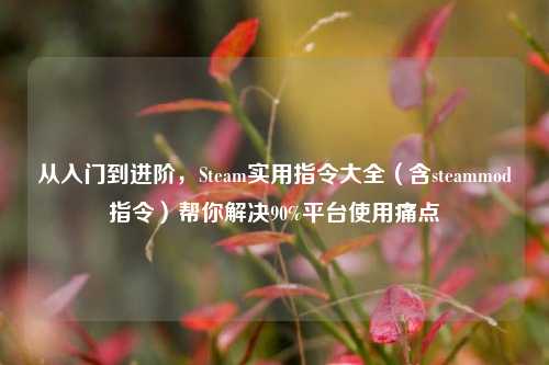 从入门到进阶,Steam实用指令大全(含steammod指令)帮你解决90%平台使用痛点