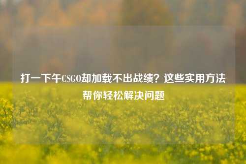 打一下午CSGO却加载不出战绩?这些实用方法帮你轻松解决问题