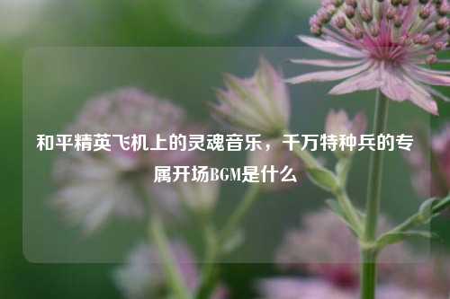 和平精英飞机上的灵魂音乐，千万特种兵的专属开场BGM是什么