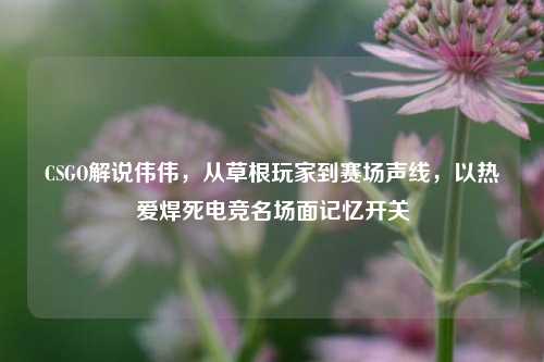 CSGO解说伟伟，从草根玩家到赛场声线，以热爱焊死电竞名场面记忆开关