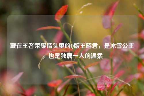 藏在王者荣耀情头里的Q版王昭君,是冰雪公主,也是独属一人的温柔
