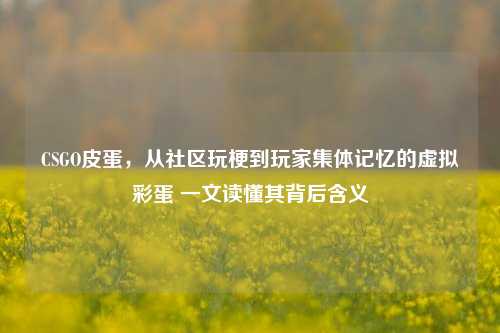CSGO皮蛋,从社区玩梗到玩家集体记忆的虚拟彩蛋 一文读懂其背后含义