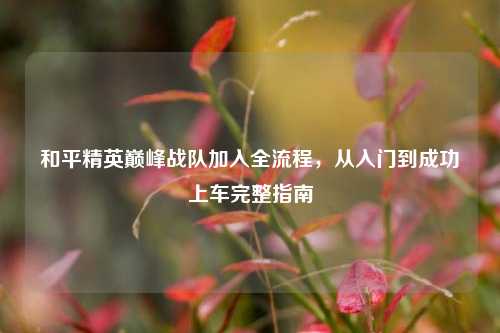 和平精英巅峰战队加入全流程，从入门到成功上车完整指南