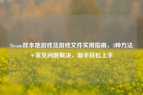 Steam找本地游戏及游戏文件实用指南,3种方法+常见问题解决,新手轻松上手