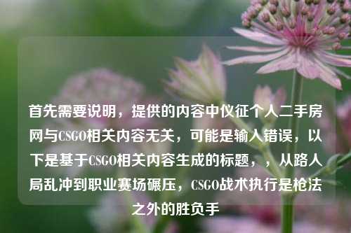 首先需要说明，提供的内容中仪征个人二手房网与CSGO相关内容无关，可能是输入错误，以下是基于CSGO相关内容生成的标题，，从路人局乱冲到职业赛场碾压，CSGO战术执行是枪法之外的胜负手