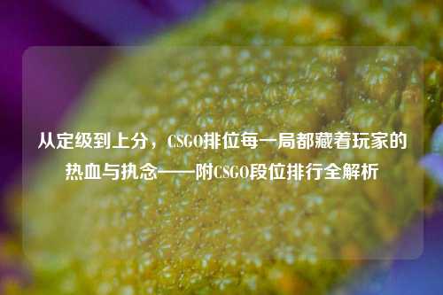 从定级到上分，CSGO排位每一局都藏着玩家的热血与执念——附CSGO段位排行全解析