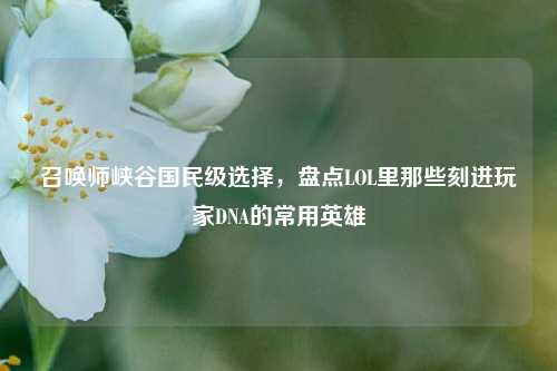 召唤师峡谷国民级选择,盘点LOL里那些刻进玩家DNA的常用英雄