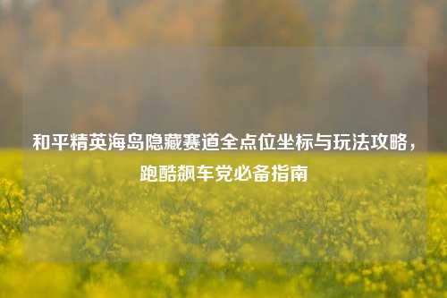 和平精英海岛隐藏赛道全点位坐标与玩法攻略,跑酷飙车党必备指南