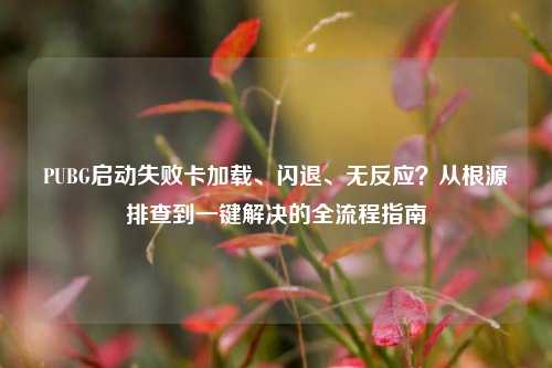 PUBG启动失败卡加载、闪退、无反应？从根源排查到一键解决的全流程指南