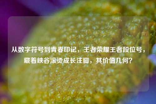 从数字符号到青春印记，王者荣耀王者段位号，藏着峡谷滚烫成长注脚，其价值几何？