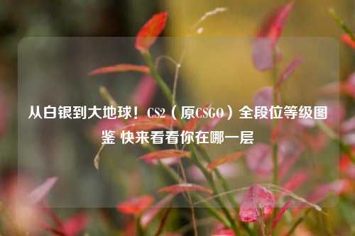 从白银到大地球!CS2(原CSGO)全段位等级图鉴 快来看看你在哪一层