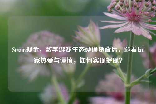 Steam现金,数字游戏生态硬通货背后,藏着玩家热爱与谨慎,如何实现提现?