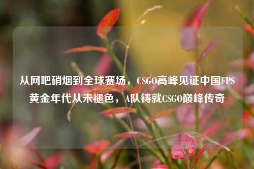 从网吧硝烟到全球赛场,CSGO高峰见证中国FPS黄金年代从未褪色,A队铸就CSGO巅峰传奇