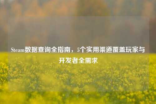 Steam数据查询全指南,5个实用渠道覆盖玩家与开发者全需求