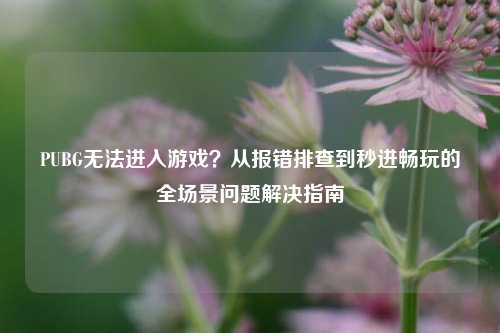 PUBG无法进入游戏?从报错排查到秒进畅玩的全场景问题解决指南