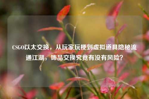 CSGO以太交换,从玩家玩梗到虚拟道具隐秘流通江湖,饰品交换究竟有没有风险?