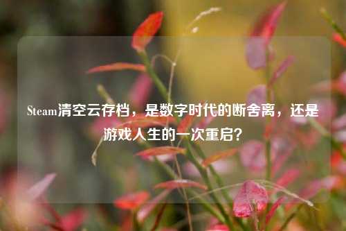 Steam清空云存档,是数字时代的断舍离,还是游戏人生的一次重启?