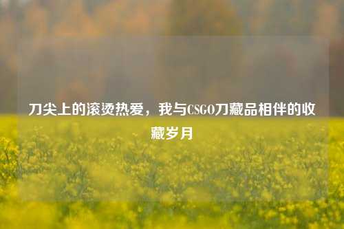 刀尖上的滚烫热爱,我与CSGO刀藏品相伴的收藏岁月