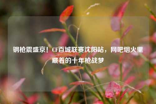 钢枪震盛京！CF百城联赛沈阳站，网吧烟火里藏着的十年枪战梦