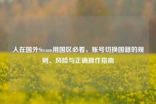 人在国外Steam用国区必看,账号切换国籍的规则、风险与正确操作指南