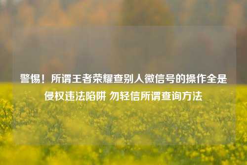 警惕!所谓王者荣耀查别人微信号的操作全是侵权违法陷阱 勿轻信所谓查询方法