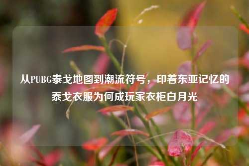从PUBG泰戈地图到潮流符号,印着东亚记忆的泰戈衣服为何成玩家衣柜白月光