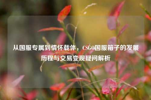 从国服专属到情怀载体,CSGO国服箱子的发展历程与交易变现疑问解析