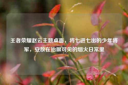 王者荣耀赵云主题桌面,将七进七出的少年将军,安放在抬眼可见的烟火日常里