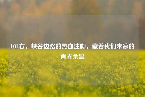 LOL右,峡谷边路的热血注脚,藏着我们未凉的青春余温