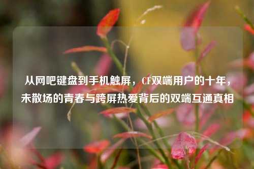 从网吧键盘到手机触屏，CF双端用户的十年，未散场的青春与跨屏热爱背后的双端互通真相