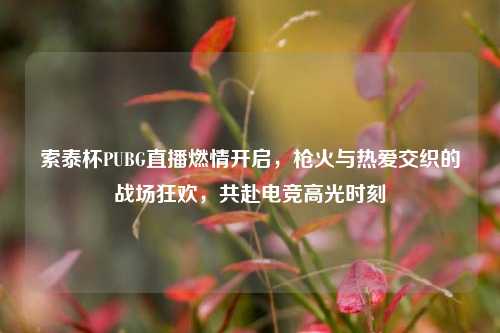 索泰杯PUBG直播燃情开启,枪火与热爱交织的战场狂欢,共赴电竞高光时刻