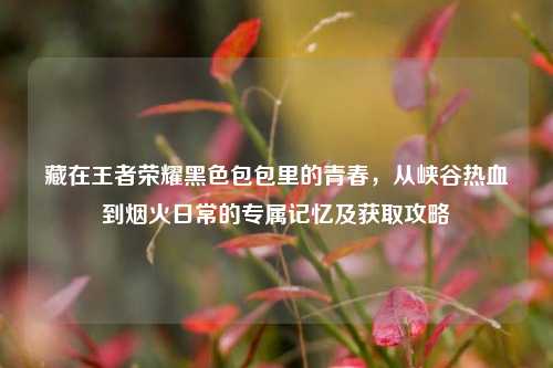 藏在王者荣耀黑色包包里的青春，从峡谷热血到烟火日常的专属记忆及获取攻略