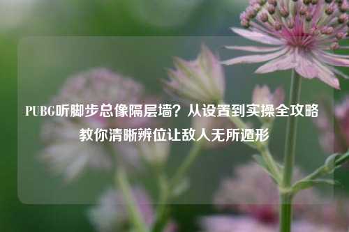 PUBG听脚步总像隔层墙？从设置到实操全攻略 教你清晰辨位让敌人无所遁形