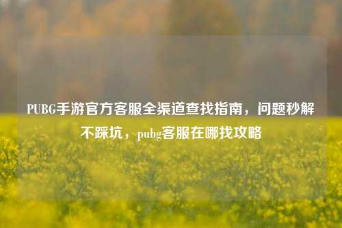 PUBG手游官方客服全渠道查找指南,问题秒解不踩坑,pubg客服在哪找攻略