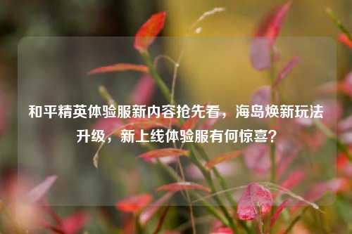 和平精英体验服新内容抢先看,海岛焕新玩法升级,新上线体验服有何惊喜?