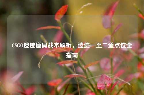 CSGO遗迹道具战术解析,遗迹一至二道点位全指南