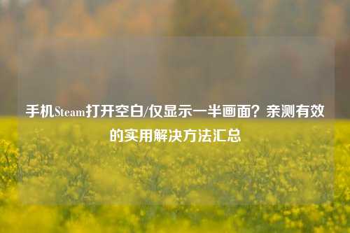 手机Steam打开空白/仅显示一半画面?亲测有效的实用解决方法汇总