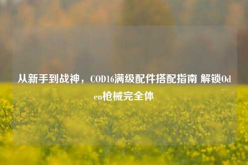 从新手到战神,COD16满级配件搭配指南 解锁Oden枪械完全体