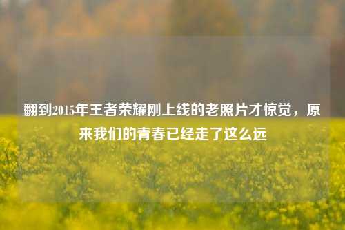 翻到2015年王者荣耀刚上线的老照片才惊觉，原来我们的青春已经走了这么远