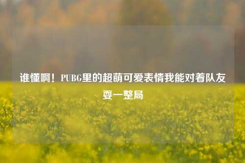 谁懂啊！PUBG里的超萌可爱表情我能对着队友耍一整局
