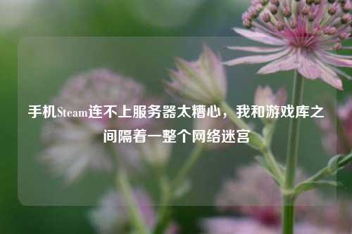 手机Steam连不上服务器太糟心，我和游戏库之间隔着一整个网络迷宫