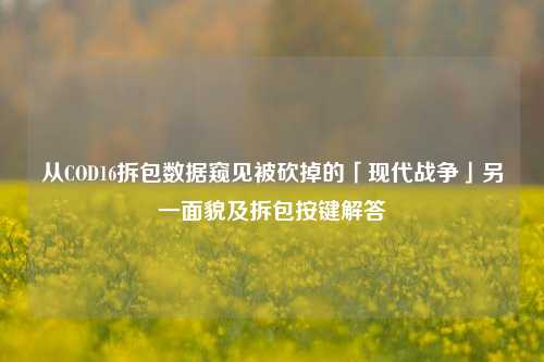 从COD16拆包数据窥见被砍掉的「现代战争」另一面貌及拆包按键解答