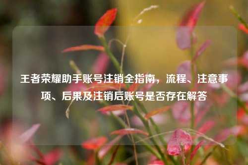 王者荣耀助手账号注销全指南,流程、注意事项、后果及注销后账号是否存在解答