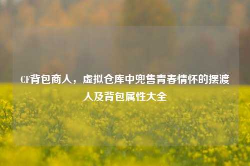 CF背包商人,虚拟仓库中兜售青春情怀的摆渡人及背包属性大全