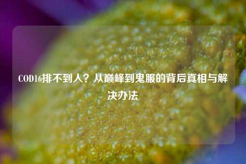 COD16排不到人？从巅峰到鬼服的背后真相与解决办法