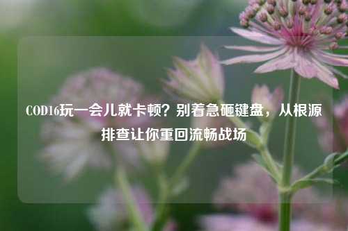 COD16玩一会儿就卡顿？别着急砸键盘，从根源排查让你重回流畅战场