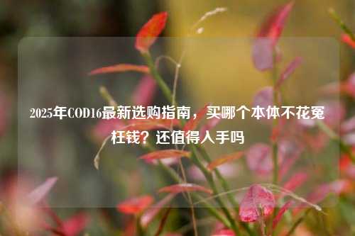 2025年COD16最新选购指南,买哪个本体不花冤枉钱?还值得入手吗